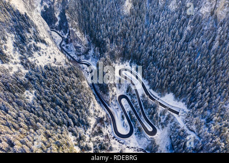 Vista al di sopra della curva strada in inverno di foreste di montagna. Bicaz gorge è un passaggio stretto tra due storiche regione rumena. Foto Stock