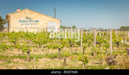 Saint Emilion, Francia - 26 Maggio 2017: Chateau Godeau Ducarpe vigna su una giornata di primavera, un grand cru vino da Saint Emilion Foto Stock