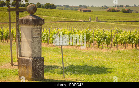 Saint Emilion, Francia - 26 Maggio 2017: vigneto della calotta d o un castello su un giorno di primavera, un grand cru vino da Saint Emillion Foto Stock