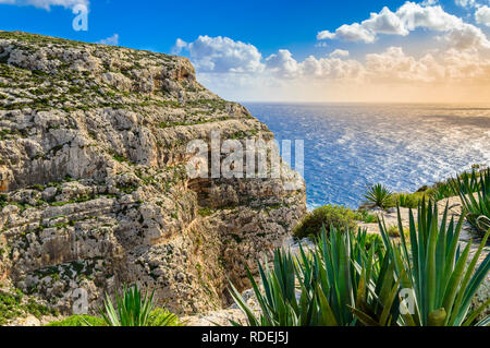 Scogliere vicino alla Grotta Azzurra, Malta. Scenic seascape con costa rocciosa e succosa agave piante. Foto Stock