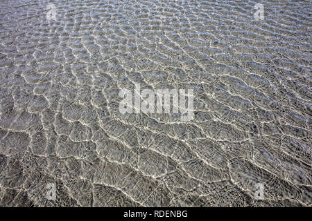 I Paesi Bassi, Rottumeroog o Rottum (isola disabitata), appartenente al mare di Wadden Islands. Unesco - Sito Patrimonio dell'umanità. Mudflat. Foto Stock