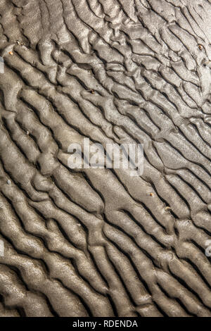 I Paesi Bassi, Rottumeroog o Rottum (isola disabitata), appartenente al mare di Wadden Islands. Unesco - Sito Patrimonio dell'umanità. Mudflat. Foto Stock