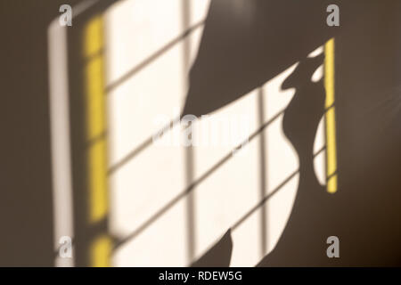 Luce del sole di mattina proveniente attraverso la finestra e sun-l'illuminazione di una lampada creando lampada da sole ombra sul muro Foto Stock