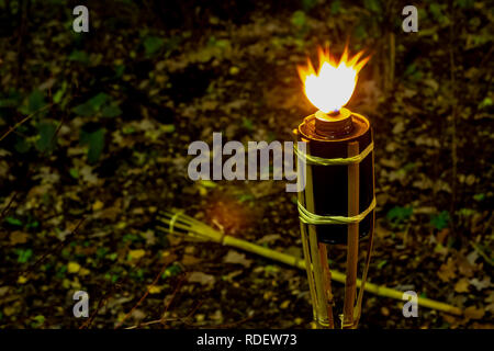 Le torce di notte con fiamme gialle e mette in evidenza Foto Stock