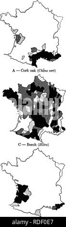 . Studi in francese la silvicoltura . Le foreste e la silvicoltura. 42 regioni boschive e importanti specie. Si prega di notare che queste immagini vengono estratte dalla pagina sottoposta a scansione di immagini che possono essere state migliorate digitalmente per la leggibilità - Colorazione e aspetto di queste illustrazioni potrebbero non perfettamente assomigliano al lavoro originale. Woolsey, Theodore Salisbury, 1879-; Greeley, William Buckhout, 1879-. New York : Wiley Foto Stock