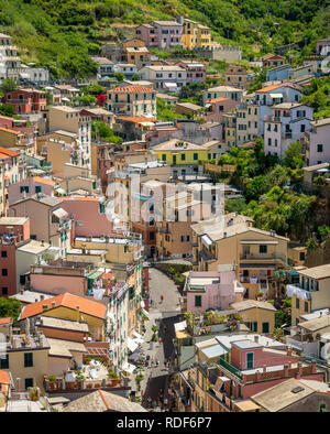 Farbenfrohe Häuser von Riomaggiore Cinque Terre Liguria, Italien Foto Stock