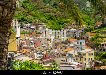 Farbenfrohe Häuser von Riomaggiore Cinque Terre Liguria, Italien Foto Stock