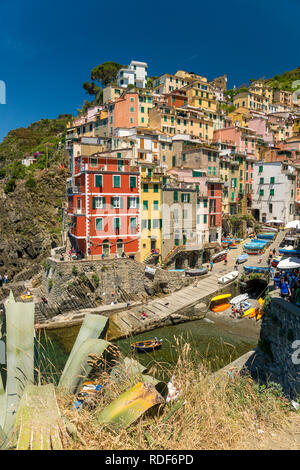 Farbenfrohe Häuser von Riomaggiore Cinque Terre Liguria, Italien Foto Stock