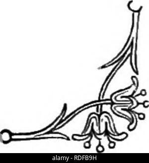 . Il linguaggio dei fiori: o, emblemi floreali di sentimenti, pensieri e sentimenti ... Lingua dei fiori. La rosa contorni armoniosi con delizia. Ma come possiamo descrivere le parti arrotondate che formano la sua interezza, la bella le tinte in modo delicato di cui sopra di lei il dolce profumo che Lei manda ? Ecco il suo, in primavera, innalzando se stessa dolcemente in mezzo il suo elegante fogliame, circondato dai suoi molti boccioli ; si potrebbe dire che la regina dei fiori di sport con l'aria che gioca intorno a lei, che ella adorna se stessa con il diamante- come gocce di rugiada che bagnano il suo, che sorride al sole di r Foto Stock