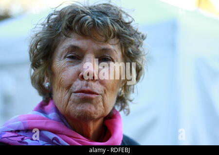 Kate Hoey partito laburista membro del Parlamento a favore di Vauxhall servita in Tony Blair Governo come Ministro per lo sport. Fotografia scattata il 17 gennaio 2019 in Westminster, Londra, Regno Unito. Politica inglese. Foto Stock