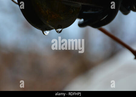 Fresche gocce di pioggia. Gocce sulla stendibiancheria. Gocce d'acqua appesi ad una fune. Foto Stock