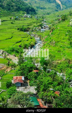 Hapao terrazze di riso, parte del patrimonio mondiale vista Banaue, Luzon, Filippine Foto Stock