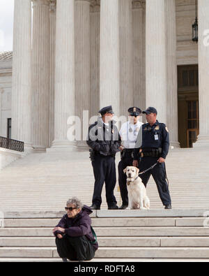 La polizia della Corte Suprema, e il cane della polizia, in piedi ai gradini anteriori del palazzo della Corte - Washington, DC USA Foto Stock