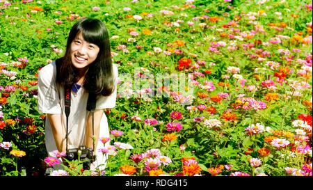 Taoyuan, Taiwan - 3 Nov 2016: mare di fiori di stagione in terreni agricoli, Taoyuan, Taiwan Foto Stock