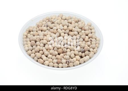 Pepe bianco, pelati pepe (Piper nigrum), spice Foto Stock