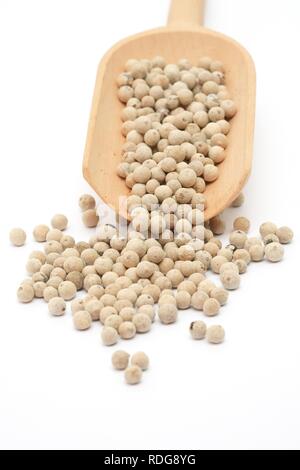 Sbucciate pepe bianco (Piper nigrum), spice Foto Stock