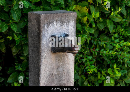 Italia, Roma, Foro Romano, un lupo faccia scultura su una lastra di pietra Foto Stock