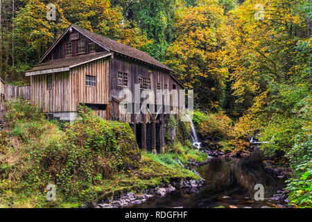 Le foglie sono la modifica dei colori e il salmone sono in esecuzione a monte che significa è autunno a Cedar Grist Mill nello Stato di Washington. La lavorazione grist Foto Stock