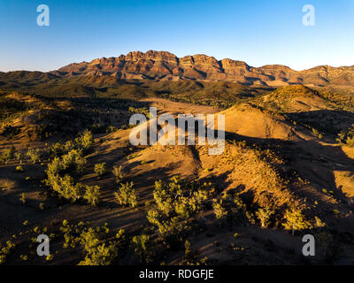 Antenna della gamma di sambuco, parte del leggendario Flinders Ranges. Foto Stock