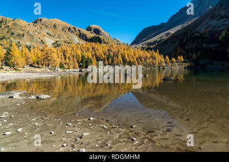 Lagh da Val Viola im Herbst, bassa Val Poschiavo, Schweiz Foto Stock