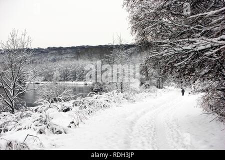 Walker presso la coperta di neve Ruhr e foresta, vicino Essen-Ueberruhr, Essen, Renania settentrionale-Vestfalia Foto Stock