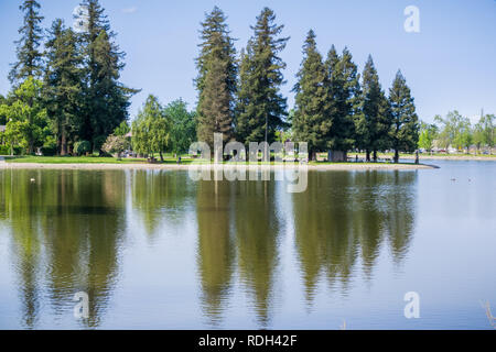 Grandi alberi di sequoia riflessa nelle calme acque del lago di Ellis, Marysville, California Foto Stock