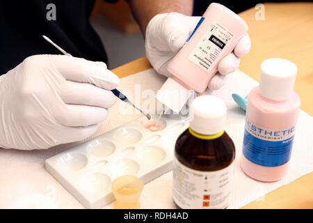 Laboratorio Odontotecnico, fabbricazione di protesi dentarie da parte di un maestro artigiano, singoli coloranti gengivale Foto Stock