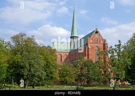 Doberan Abbey, Bad Doberan, costa baltica, Meclemburgo-Pomerania Occidentale Foto Stock