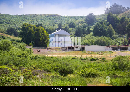 Stalle per cavalli, Marin Headlands del Parco Statale di San Francisco Bay Area, California Foto Stock