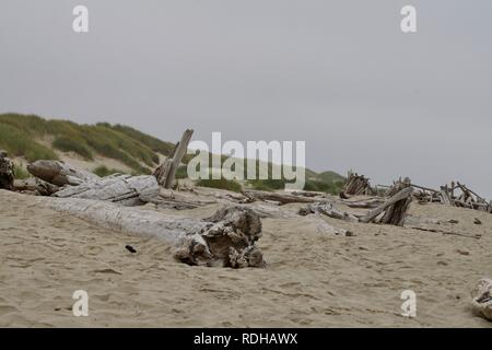 Spiaggia di Sandy Foto Stock