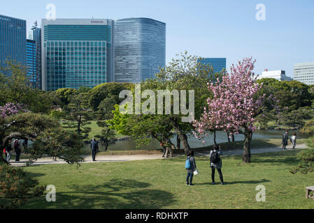 Giappone, isola di Honshu, Tokyo: Giardini Hamarikyu, uno dei più antichi TokyoÕs giardini, nel distretto di Tsukiji.Caption locale *** Foto Stock