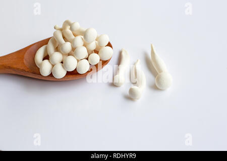 Faggio bianco di funghi shimeji, funghi, funghi commestibili su sfondo bianco. Foto Stock