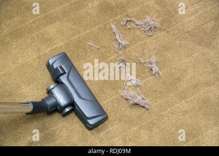 Il processo di pulizia della moquette con un aspirapolvere e un filtro  dell'acqua. Una donna applica schiuma detergente a una superficie sporca  del tappeto Foto stock - Alamy