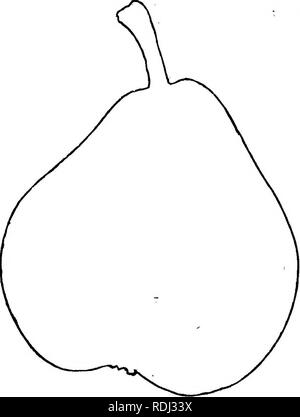 . La frutta e gli alberi da frutto di America : O, la cultura, la propagazione e la gestione, in giardino e frutteto, di alberi da frutto in generale, con le descrizioni di tutte le migliori varietà di frutta, nativi e stranieri, coltivato in questo paese . Frutta-cultura; frutta. THK pera. 513 Paris. Esso è notevolmente superiore in sapore al vecchio Jalousia giovani germogli verticale, lungo e di colore bruno-giallo. Frutto di medie dimensioni, turbinate, o ottuso-piriforme. Stin opaco giallo e verde, notevolmente segnato con russet patch e puntini, e tinto con una guancia rossa. Levetta di circa un pollice lungo, impostare obliquamente, •senza dep Foto Stock