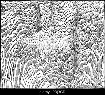 . Serate al microscopio : o, ricerche tra i minuter organi e forme di vita animale. Microscopia microscopi;; medico di microscopia. 48 serate al MICEOSCOPE. da qualsiasi quantità di lucidatura, è ovvio che la loro presenza dipende da qualcosa di strano nel Tex- ture di questa sostanza e non su qualsiasi mera super- ficial disposizione. Quando un pezzo di madreperla è esaminato attentamente, diventa evidente che le linee sono pro- duced dal tagliare fuori delle lamine del guscio, situato più o meno obliqua rispetto al piano della superficie. Maggiore è il tuffo di tali lamine, la più vicina wil Foto Stock