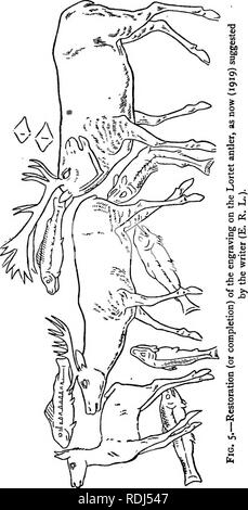 . I segreti della terra e del mare. Scienza e storia naturale; Archeologia; arte, primitiva. La prima immagine nel mondo 13. Si prega di notare che queste immagini vengono estratte dalla pagina sottoposta a scansione di immagini che possono essere state migliorate digitalmente per la leggibilità - Colorazione e aspetto di queste illustrazioni potrebbero non perfettamente assomigliano al lavoro originale. Lankester, E. Ray (Edwin Ray), Sir, 1847-1929. Londra, Methuen &AMP; Co. Ltd Foto Stock