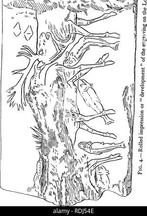 . I segreti della terra e del mare. Scienza e storia naturale; Archeologia; arte, primitiva. :^):^II^^. Si prega di notare che queste immagini vengono estratte dalla pagina sottoposta a scansione di immagini che possono essere state migliorate digitalmente per la leggibilità - Colorazione e aspetto di queste illustrazioni potrebbero non perfettamente assomigliano al lavoro originale. Lankester, E. Ray (Edwin Ray), Sir, 1847-1929. Londra, Methuen &AMP; Co. Ltd Foto Stock