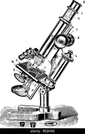 . Elementi di microscopia applicata. Un libro di testo per i principianti. Microscopia. 18 elementi di microscopia applicata.. A. Base. B. Pilastro. C. IL BRACCIO. D. tubo. E. Il collare. F. obiettivi. G. oculare. H. Draw-scala del tubo. Z, Disegnare-tubo. Fig. 15.-^microscopio. j^' r regolazione grossolana. L. La regolazione fine. M. stadio. N. i fermagli a molla. O. specchio. P. Mirror bar. D. sottofase. S e il diaframma,.. Si prega di notare che queste immagini vengono estratte dalla pagina sottoposta a scansione di immagini che possono essere state migliorate digitalmente per la leggibilità - Colorazione e aspetto di queste illustrazioni potrebbero non perfettamente assomigliano al lavoro originale. Winslow, C Foto Stock