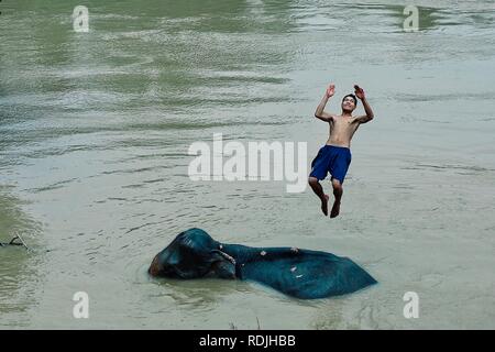 Luang Prabang / Laos - Lug 06 2011: un momento divertente dopo il mahout lavato il suo elefante in il Fiume Mekong Foto Stock