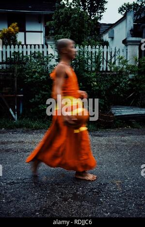 Luang Prabang / Laos - Lug 06 2011: Monaco durante il loro inizio turno mattina intorno alla città per raccogliere i loro elemosine Foto Stock