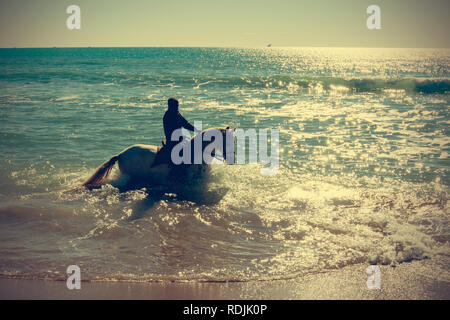 Giovane uomo cavalcare un cavallo bianco sulla spiaggia Foto Stock