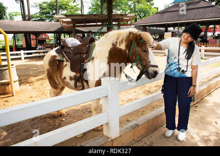 Traveler donna thai travel e posa per scattare la foto con la nana in piedi cavallo di rilassarsi e mangiare cibo in stabile a fattoria degli animali in Saraburi, Thailandia Foto Stock