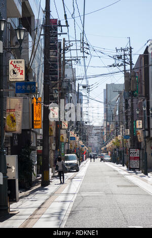 Miyazaki, Giappone - 7 Novembre 2018: Nishi Tachibanadori street nel centro di Miyazaki, Giappone Foto Stock