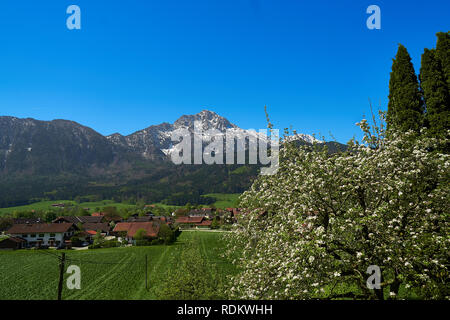 Vista panoramica del bellissimo paesaggio delle Alpi Foto Stock