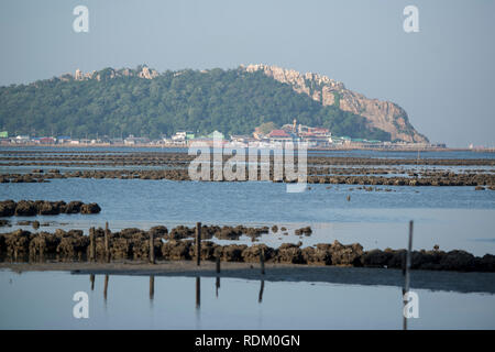 Le aziende agricole di ostriche presso la costa della città di Ang Sila vicino Beangsaen in Provinz Chonburi in Thailandia. Thailandia, Bangsaen, Novembre 2018 Foto Stock