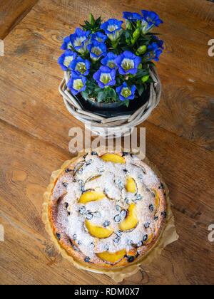 In casa albicocca mirtillo torta guarnita con glassa di zucchero con il blu genziana fiori su un tavolo di legno Foto Stock