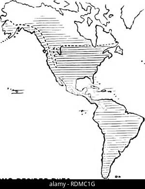 . Il Cambridge storia naturale. Zoologia. :S"&GT;;^-. =^BlJFO. io!^ forme con il dito i dischi. 5^^^ forme oltre Bufo. Fig. 34.âMap che mostra la distribuzione dei Bufonidae. Le linee verticali indicano il verificarsi di Bufonidae, ma non di Bvfo. batidae), mentre questa articolazione è bicondylar in tutti gli altri Bufonidae. Tutta la famiglia è suddivisa in otto generi con più di un centinaio di specie, di cui solo circa quindici non appartengono al genere Bufo. La distribuzione della famiglia è quasi cosmo- politan, con la notevole eccezione del Madagascar, in Papuasia e nelle piccole isole di Foto Stock