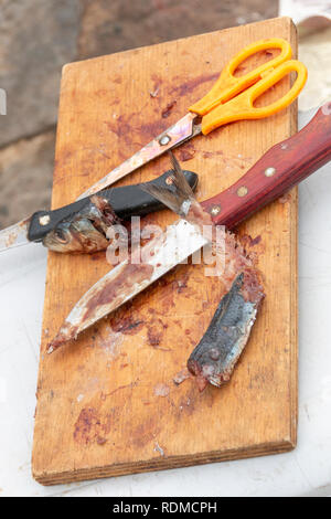 Una vista ravvicinata di un fishermans sardina esca su una tavola di legno con due coltelli, maniglia giallo forbici che è stata tagliata e utilizzati per la cattura di pesci Foto Stock