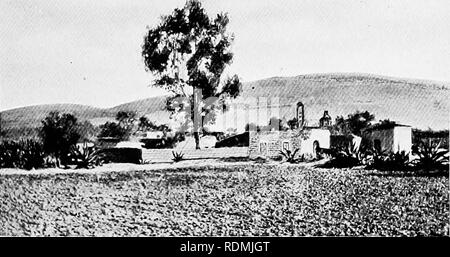 . Due bird-amanti in Messico. Storia naturale; uccelli. ;::*? Oasi e deserto m la maggior parte notevole manovra è un interruttore di volo eseguita con un singolo mulo, diminutivo auto, e un ponte costruito su una spiaggia di sabbia-gully sulla strada che conduce a nord-ovest della città. Come la macchina si avvicina la. La periferia di Guadalajara bridge, una al galoppo è raggiunto per mezzo di una costante e vigorosa applicazioni della frusta, mentre il con- raschiatore scaglia pietre e epiteti spagnolo al selvaggiamente battenti mulo. Al momento critico, appena come aprire i legami sono raggiunte, il mulo di tracce, in qualche modo misterioso, un Foto Stock