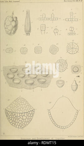 . Edinburgh New filosofico ufficiale. . Si prega di notare che queste immagini vengono estratte dalla pagina sottoposta a scansione di immagini che possono essere state migliorate digitalmente per la leggibilità - Colorazione e aspetto di queste illustrazioni potrebbero non perfettamente assomigliano al lavoro originale. Foto Stock